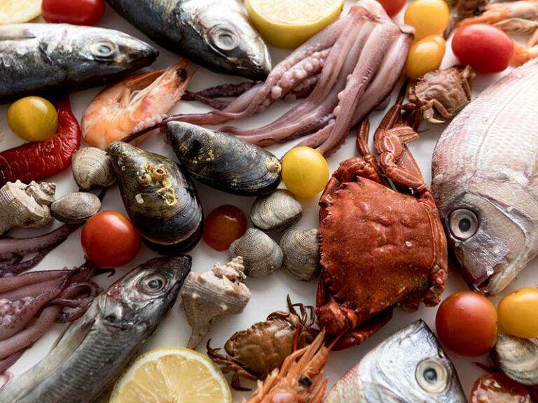 PRECAUCIONES AL CONSUMIR PESCADOS Y MARISCOS FRESCOS EN VERANO