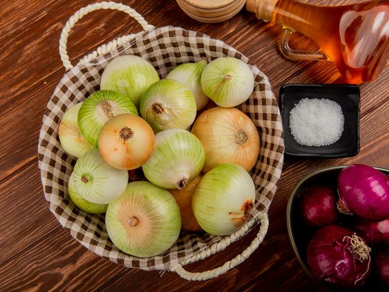 ALIMENTOS SALUDABLES RICOS EN QUERCETINA, UN ANTIOXIDANTE PROSALUD
