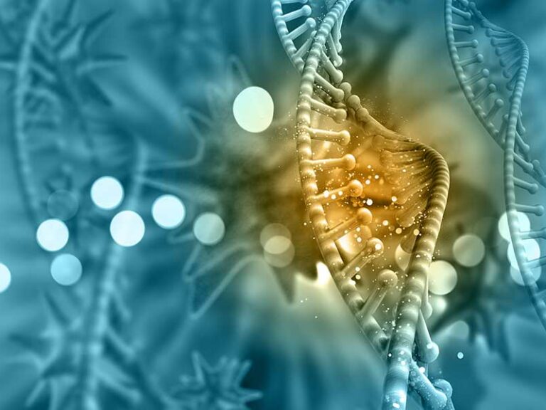 REGULACIÓN DEL CRECIMIENTO CELULAR Y LA IMPORTANCIA DE SU INVESTIGACIÓN EN ACUICULTURA