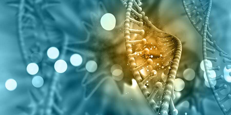 REGULACIÓN DEL CRECIMIENTO CELULAR Y LA IMPORTANCIA DE SU INVESTIGACIÓN EN ACUICULTURA
