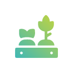 Horticultura