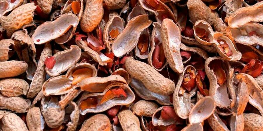 APROVECHAMIENTO DE RESIDUOS DEL CACAHUATE PARA LA PRODUCCIÓN DE BIOINSUMOS AGRÍCOLAS