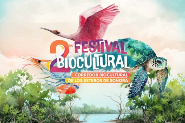 INVITAN AL II FESTIVAL BIOCULTURAL ESTUARINO DE SONORA