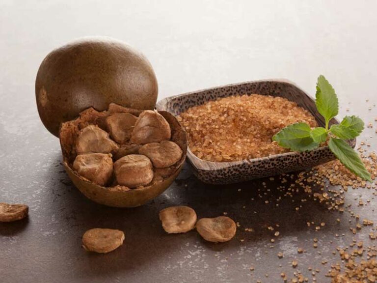 FRUTO DEL MONJE, UN DULCE Y PODEROSO ALIADO A LA SALUD