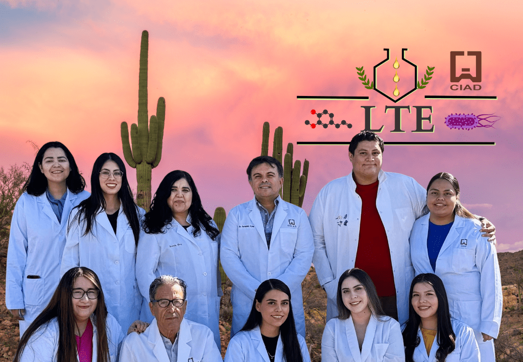 LTE1