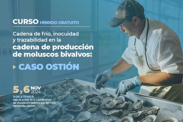 OFRECERÁN CURSO GRATUITO SOBRE CADENA DE FRÍO A PRODUCTORES DE OSTIÓN