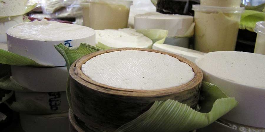 CIENCIA AL RESCATE DE LOS QUESOS MEXICANOS GENUINOS