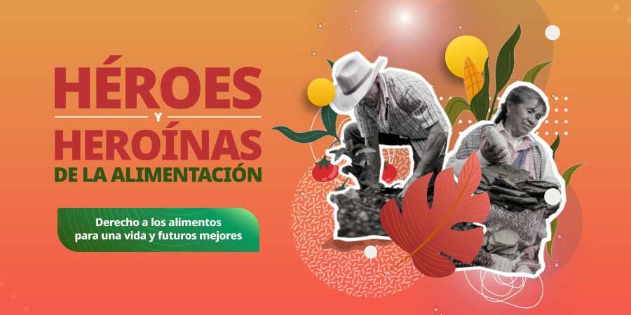 EL CIAD BUSCA RECONOCER A HÉROES Y HEROÍNAS DE LA ALIMENTACIÓN