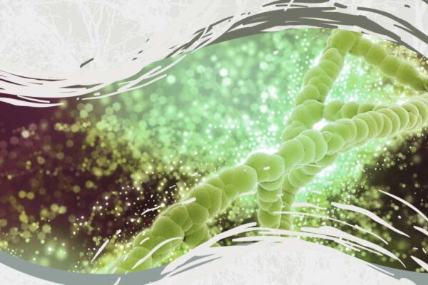 INICIAN CHARLAS BAJO EL MEZQUITE EN EL CIAD