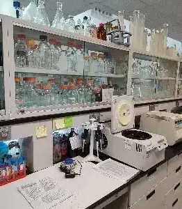 Laboratorio de Biología Molecular y Bioquímica